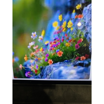 Photo for notice Ivan John DEXTER