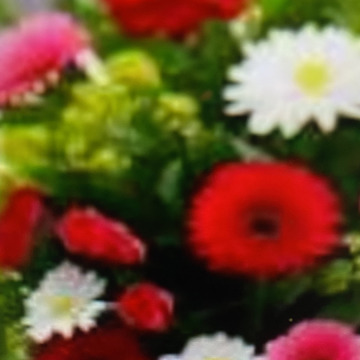 Photo for notice Ivan John DEXTER