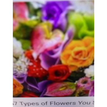 Photo for notice Ivan John DEXTER