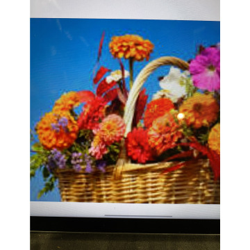 Photo for notice Ivan John DEXTER