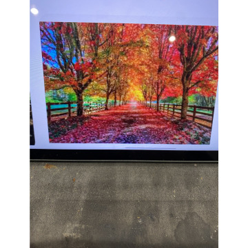 Photo for notice Ivan John DEXTER