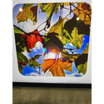 Photo for notice Ivan John DEXTER