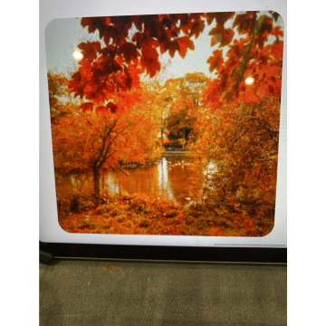 Photo for notice Ivan John DEXTER