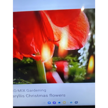 Notice Gallery for Ivan John DEXTER