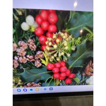 Photo for notice Ivan John DEXTER