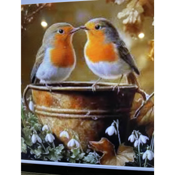 Photo for notice Ivan John DEXTER