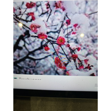 Photo for notice Ivan John DEXTER