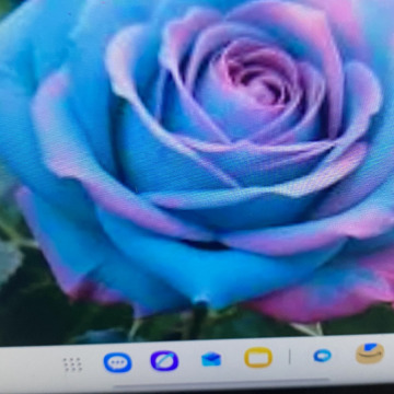 Photo for notice Ivan John DEXTER