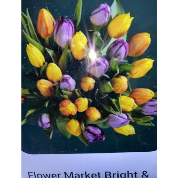 Photo for notice Ivan John DEXTER