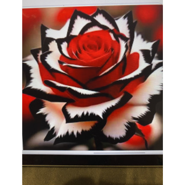 Photo for notice Ivan John DEXTER