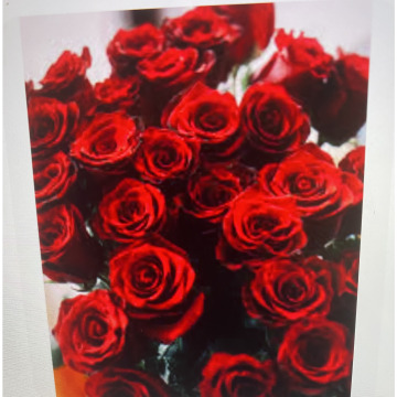 Photo for notice Ivan John DEXTER