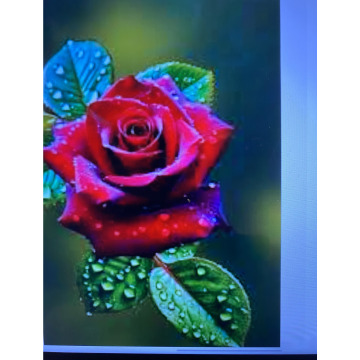 Photo for notice Ivan John DEXTER