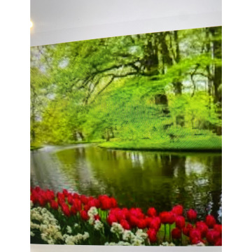 Photo for notice Ivan John DEXTER