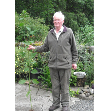 Photo of ROBERT JOHN CHARLES (ROBIN) HOGG