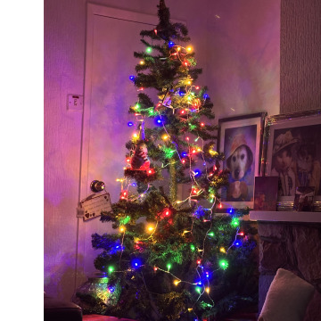 Photo for notice Dorothy Eileen DERRY