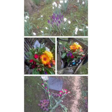 Photo for notice Moira Agnes McCOURT