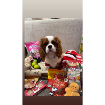 Notice Gallery for Paul CASSIDY