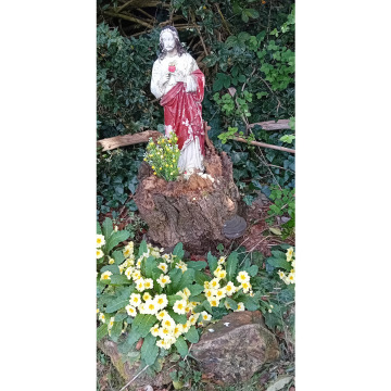 Notice Gallery for Maureen BATTY