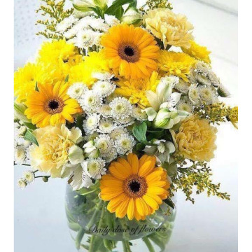 Notice Gallery for Sheila Mary DARBY