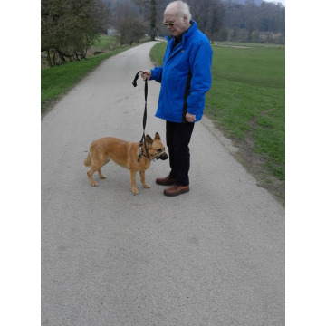 Notice Gallery for Gordon  David SMITH