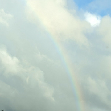 Photo of Sandra JONES