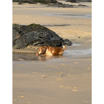 Photo for notice Calvin EDWARDS