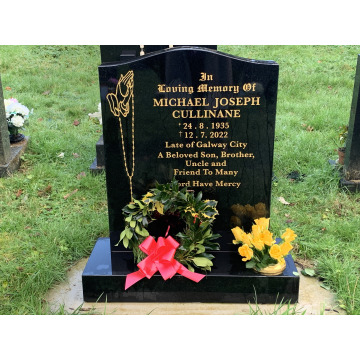 Notice Gallery for Michael Joseph CULLINANE