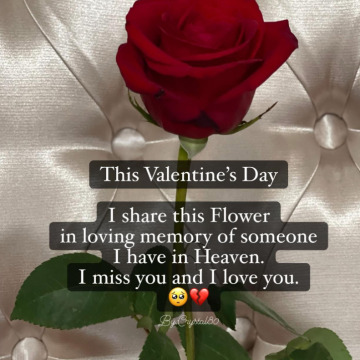 Notice Gallery for Rodney John STARK