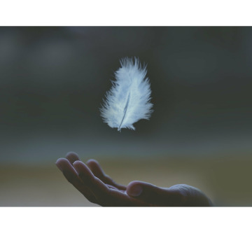 Notice Gallery for David LONG