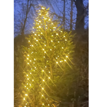 Photo for notice Charlotte Lesley Freya DIXON