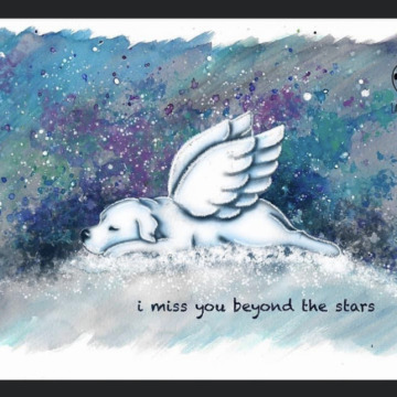 Notice Gallery for Catarina JAMES