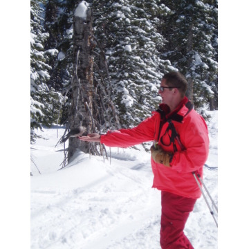 Photo of Jonathan Michael VOWLES