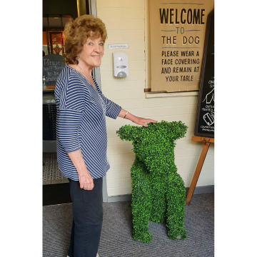 Notice Gallery for CELIA GREEN