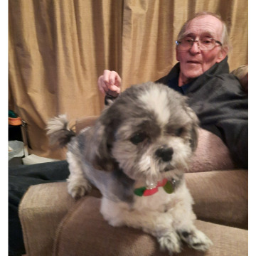 Notice Gallery for Graham LOWE