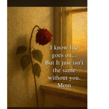 Photo for notice Jean COSIER