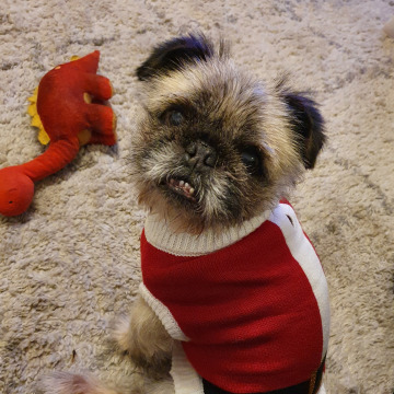 Notice Gallery for Hugh BARNES