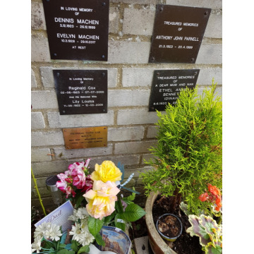 Photo of Dennis MACHEN