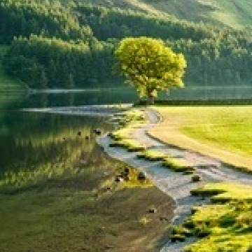 Notice Gallery for George Jeffrey WALKER