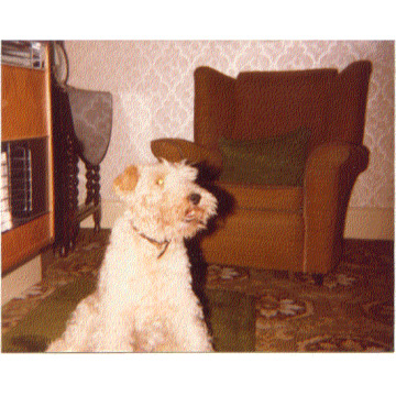 Tribute photo for Kathleen Isabel TURNER
