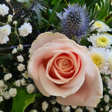 Notice Gallery for Jean SCOTT