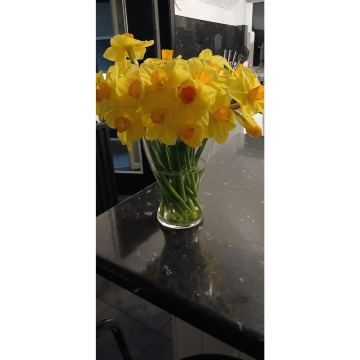 Notice Gallery for Ernest Robert RENDALL