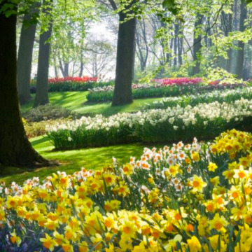 Notice Gallery for Maureen Jean HARVEY