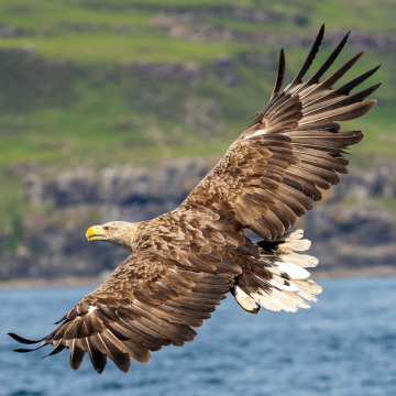 Notice Gallery for Roger BAGGULEY