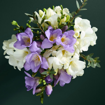 Photo for notice Patricia LEACH