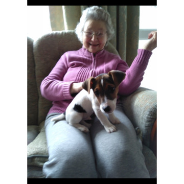 Notice Gallery for Lillian MUSTAFA