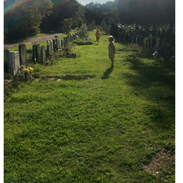 Notice Gallery for STEVEN MURPHY