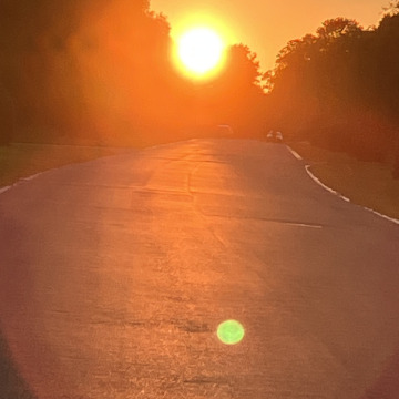 Notice Gallery for STEVEN MURPHY