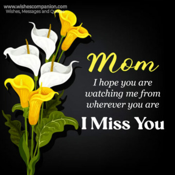 Photo for notice Eileen Josephine BOLAND