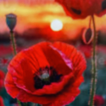 Photo for notice Ivan John DEXTER