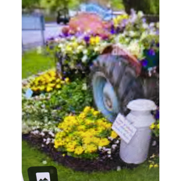 Photo for notice Ivan John DEXTER